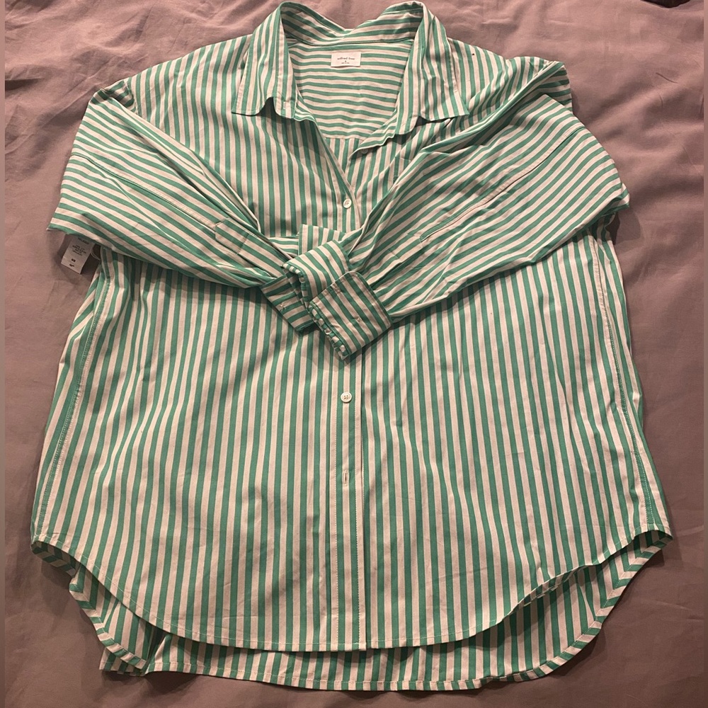 Aritzia Green and White Striped Button Down Shirt